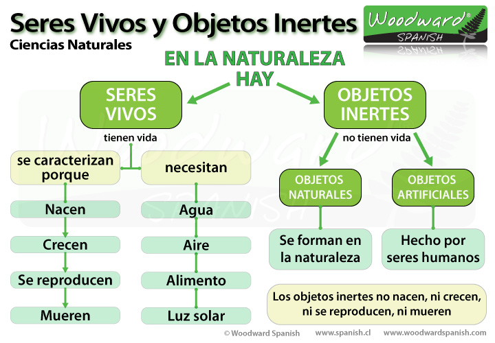 Seres Vivos y Objetos Inertes