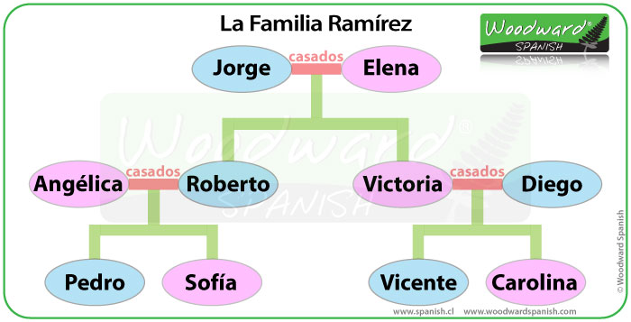 Arbol Genealogico De Una Familia Juego De Vocabulario