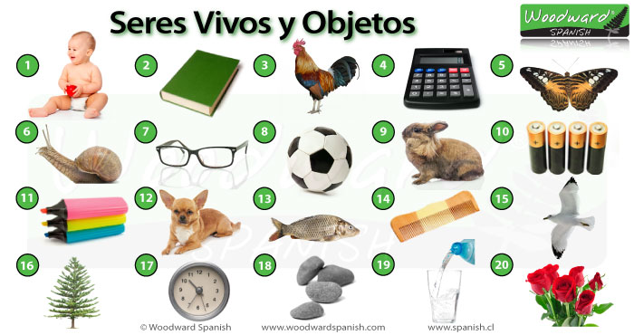 Seres Vivos y Objetos - Juego de Ciencias Naturales