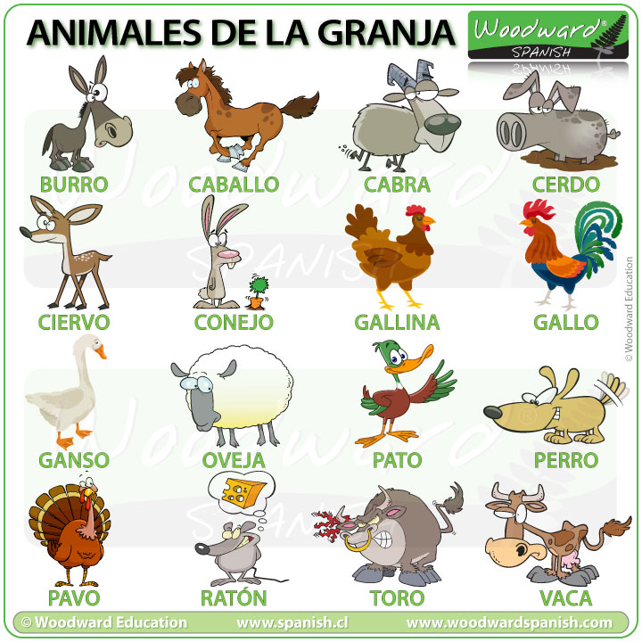 Animales de la granja - vocabulario en español - Farm animals in Spanish vocabulary