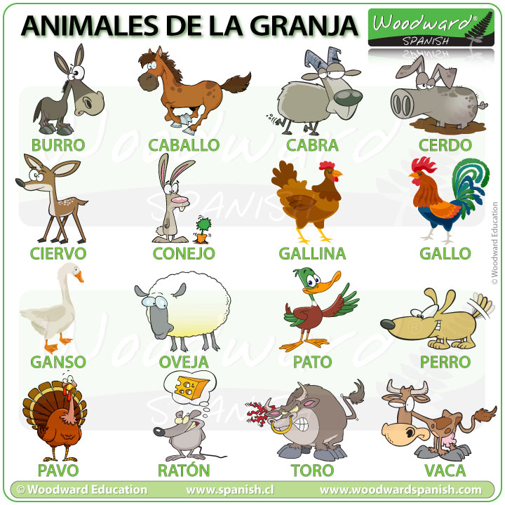 Animales de la granja en español- Farm animals in Spanish - Vocabulario