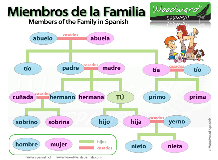 Family Tree Chart Spanish