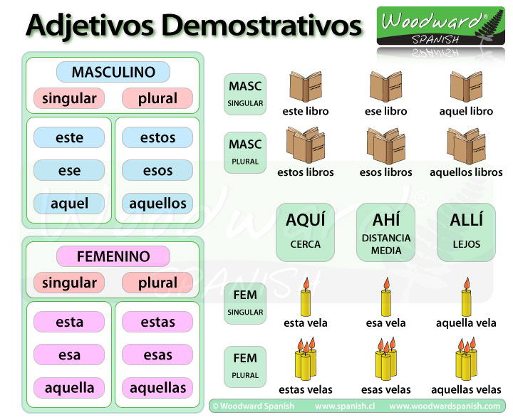 Resultado de imagen de DEMOSTRATIVOS