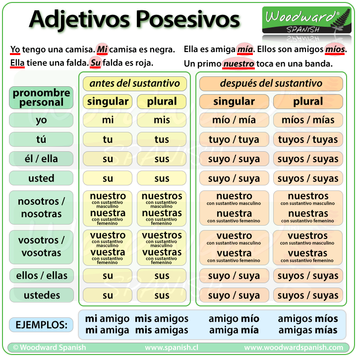 Los adjetivos posesivos en español - Possessive Adjectives in Spanish