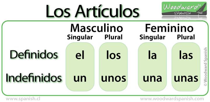 Los artículos definidos e indefinidos en español