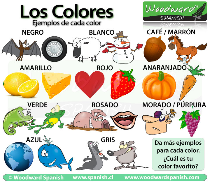 20+ Color In Spanish Translation