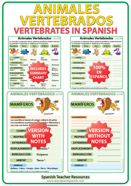 Características de los animales vertebrados en español. Charts about Vertebrates in Spanish.