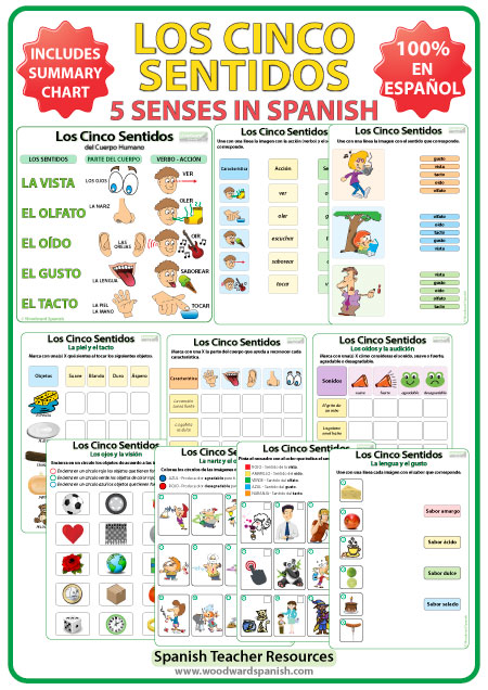 Los Cinco Sentidos - Ejercicos y actividades en español